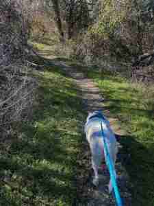 Georgetown Park