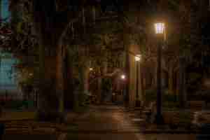 Savannah at Night