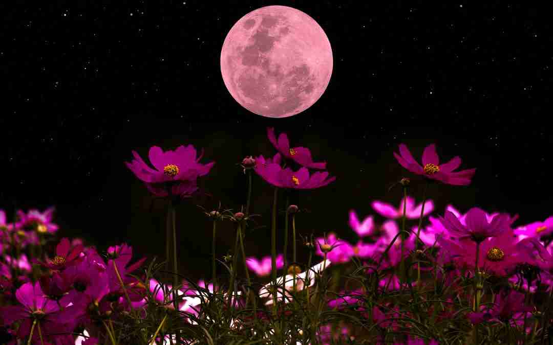Spell Caster’s Full Moon Supper