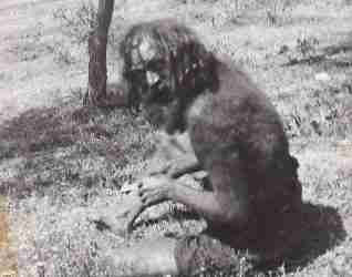 The Legend of Round Rock’s Hairy Man